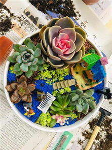 深圳花藝沙龍 以芬芳為紐帶，深化客戶情誼的聚會與花藝工程