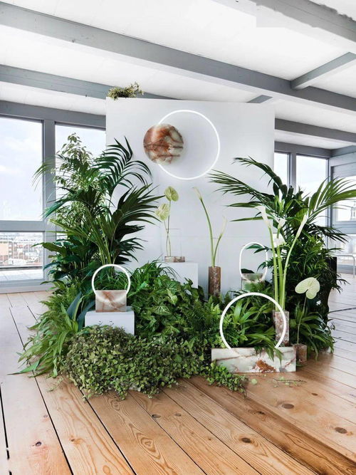 花藝工程中店鋪外包裝的必要性 美學、品牌與商業價值的融合