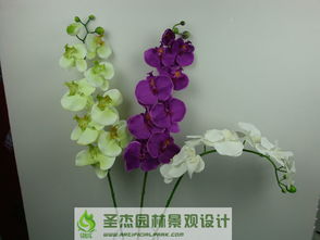 從創(chuàng)意到景觀 沈陽(yáng)仿真花產(chǎn)業(yè)的全面供應(yīng)與藝術(shù)實(shí)踐